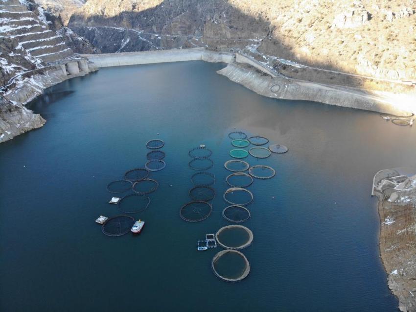 Denize kıyısı olmayan Gümüşhane'den 70 bin ton somon ihracatı