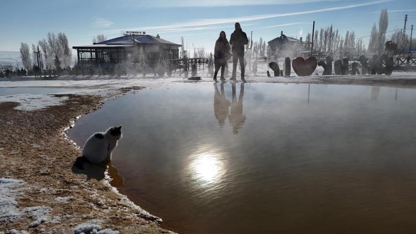 Sivas'ın dondurucu soğuğunda bir kedi donmamak için termal suyun yanında ısındı