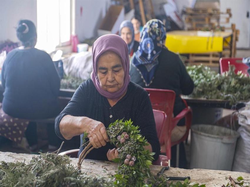 Yılda 1 milyon adet, 10 milyon Euro gelir! Antalyalı kadınların Noel Çelengi mesaisi başladı