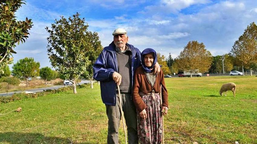 Antalyalı Çift mera alanı olmadığı için hayvanlarını şehir merkezinde otlatıyorlar