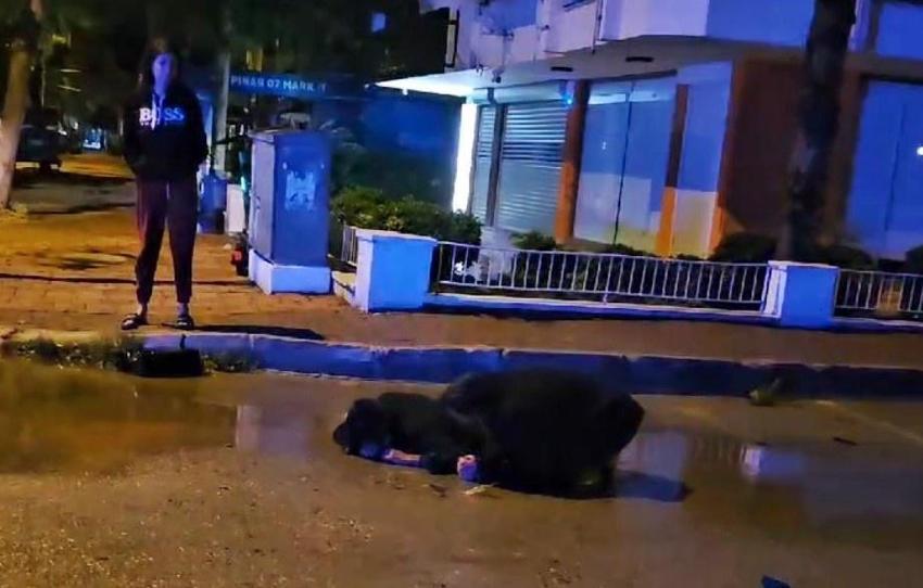 Kaza sonrası feryat figan etti: Onlara bişey olmasın, ben öleyim!