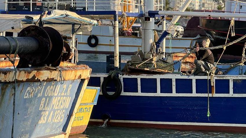 Doğu Akdeniz'de balon balığı avcılığı yayınlaşıyor! Adana'da destek ödemeleri artıyor