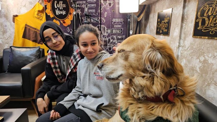 6 yıl önce öğrencilerin peşine takılan 'Fındık' okulun maskotu oldu! Sınıflara giriyor, müdür odasında uyuyor!