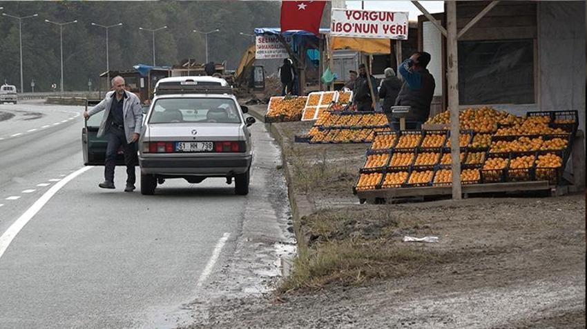 Rize'de kemençe eşliğinde mandalina hasadı