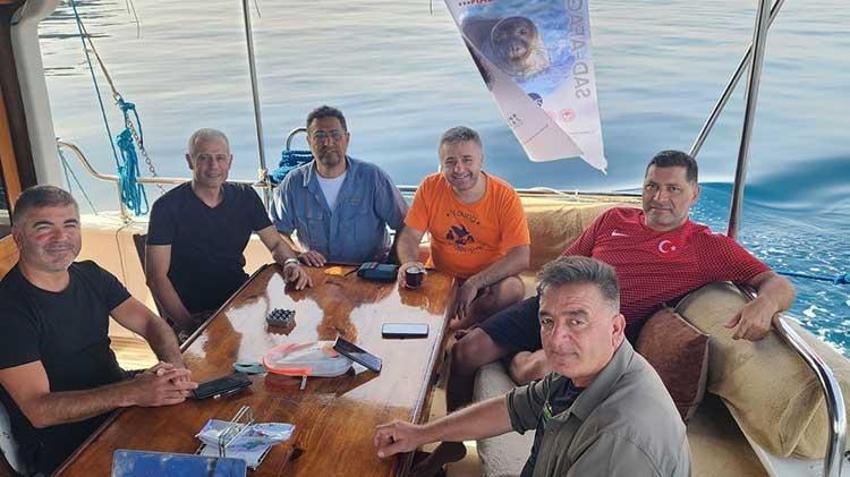 Antalya'da nesli tükenme tehlike altında olan Akdeniz foklarının sayısı 900'e yükseldi
