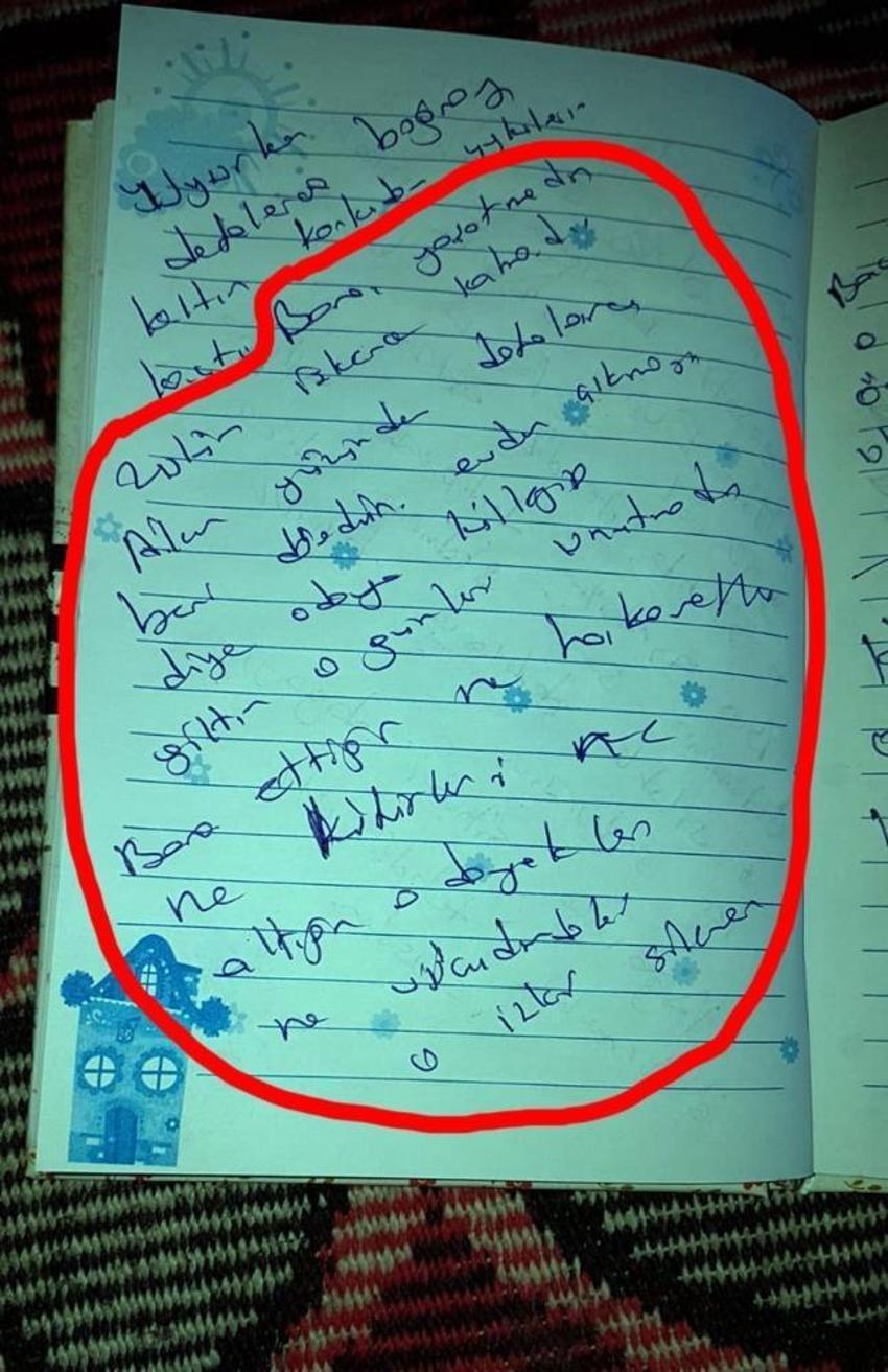 7 yıl önce intihar eden kadının koca dehşeti yıllar sonra tuttuğu günlükte ortaya çıktı! 'Ablam intihar edecek birisi değildi'