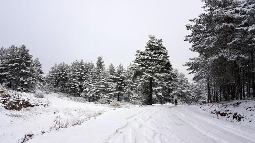 Lapa lapa kar yağışı, gök gürültülü sağanak yağmur ve kuvvetli rüzgar geliyor! Meteoroloji yaşanabilecek olumsuzluklara karşı illeri uyardı