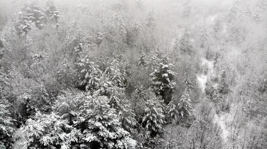 Lapa lapa kar yağışı, gök gürültülü sağanak yağmur ve kuvvetli rüzgar geliyor! Meteoroloji yaşanabilecek olumsuzluklara karşı illeri uyardı