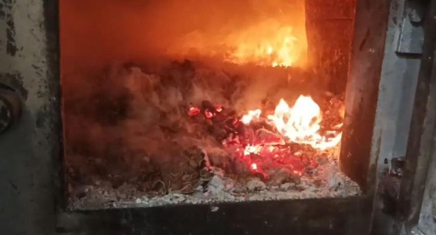 Giresun'da odun yerine kullanılıyor! Fiyat iyice düştü