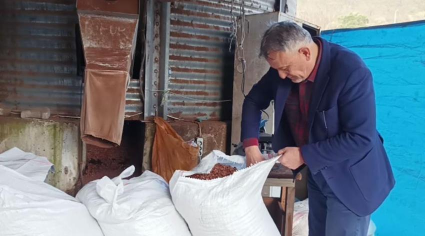 Giresun'da odun yerine kullanılıyor! Fiyat iyice düştü