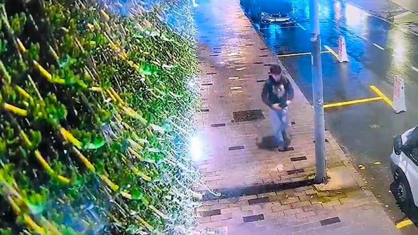 Beşiktaş'ta İsviçreli iş adamının evinden milyonluk hırsızlık! Hırsız Escobar yakalandı