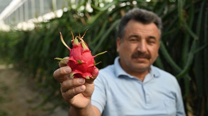 Baba mesleğini bıraktı, bu işe yöneldi! Şimdi tonlarca üretim yapıyor