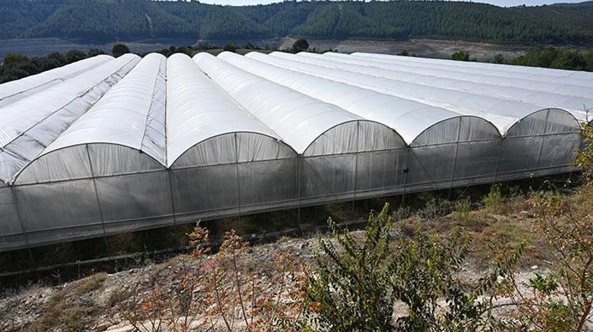Baba mesleğini bıraktı, bu işe yöneldi! Şimdi tonlarca üretim yapıyor