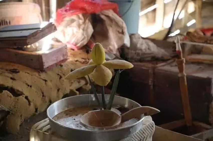 91 yaşında dağlardan toplayıp çocuklar hediye ediyor! Tek bir isteği var