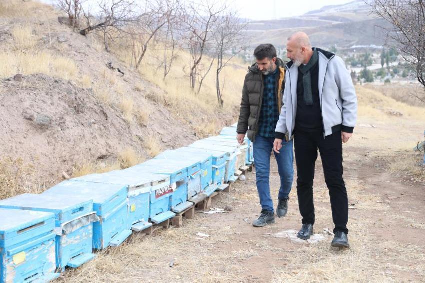 Kışın erken gelmesi arıcıların yüzünü güldürdü! Arılar 5 yıl sonra ilk defa kış uykusuna yattı