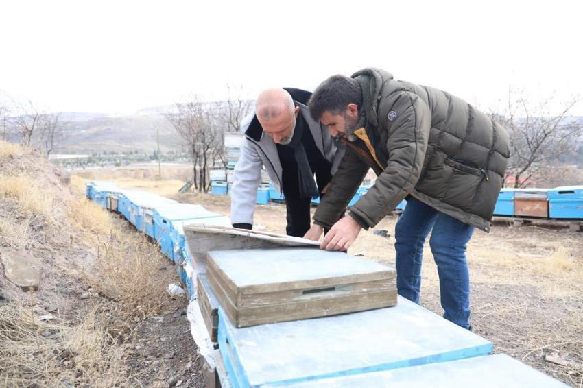 Kışın erken gelmesi arıcıların yüzünü güldürdü! Arılar 5 yıl sonra ilk defa kış uykusuna yattı