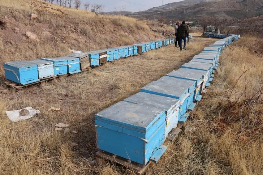 Kışın erken gelmesi arıcıların yüzünü güldürdü! Arılar 5 yıl sonra ilk defa kış uykusuna yattı