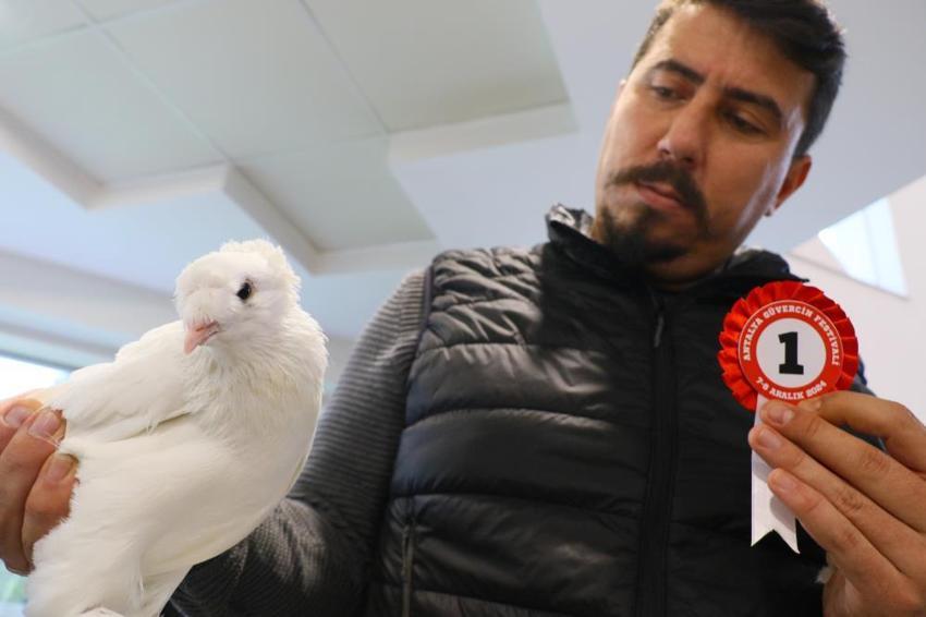  Araba değerindeki güvercinler Antalya’da kıyasıya yarıştı