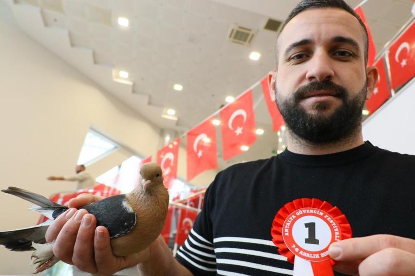  Araba değerindeki güvercinler Antalya’da kıyasıya yarıştı