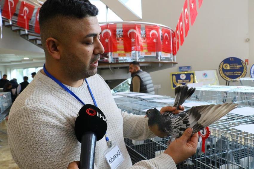  Araba değerindeki güvercinler Antalya’da kıyasıya yarıştı