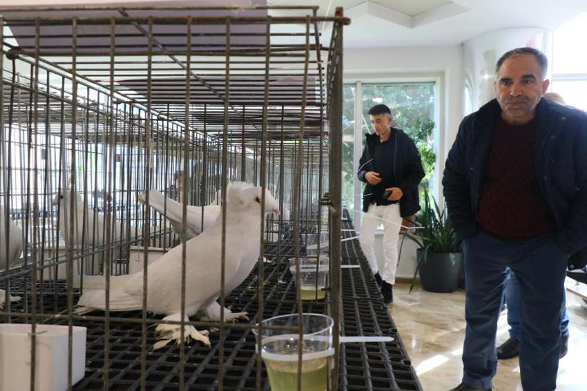  Araba değerindeki güvercinler Antalya’da kıyasıya yarıştı