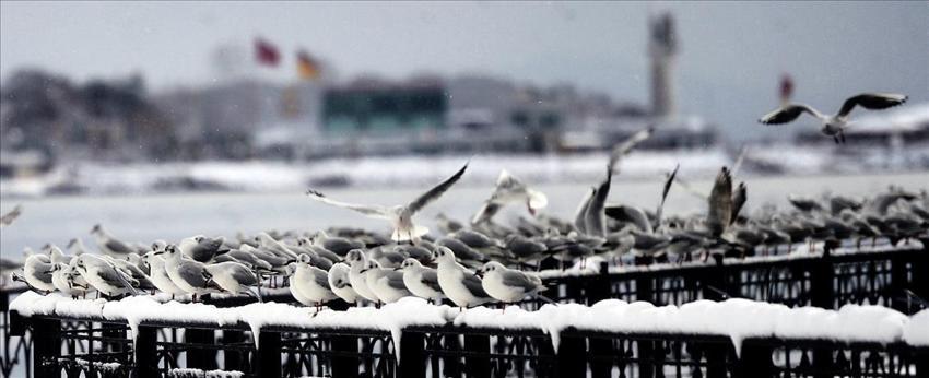 Meteoroloji'nin son açıklamasına göre İstanbul'a kış geri geliyor! Yağmur yağışları yerini kar yağışlarına bırakıyor