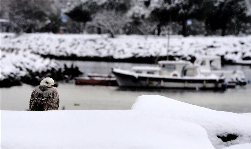 Meteoroloji'nin son açıklamasına göre İstanbul'a kış geri geliyor! Yağmur yağışları yerini kar yağışlarına bırakıyor
