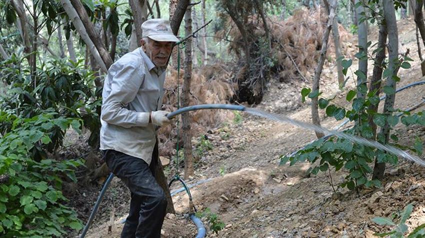 Mardinli Şeyhmus Amca 30 yılda 30 bin fidan dikerek 'çöplük' denilen alanı cennete çevirdi