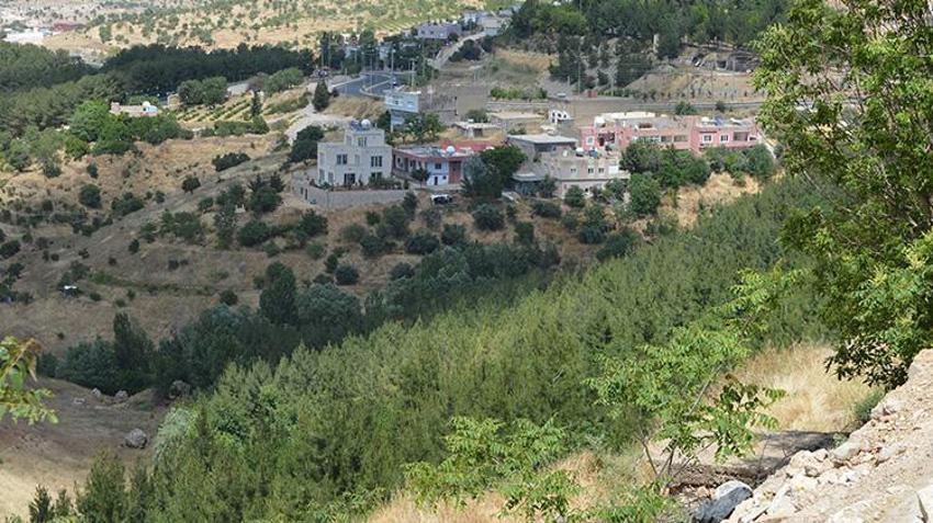 Mardinli Şeyhmus Amca 30 yılda 30 bin fidan dikerek 'çöplük' denilen alanı cennete çevirdi