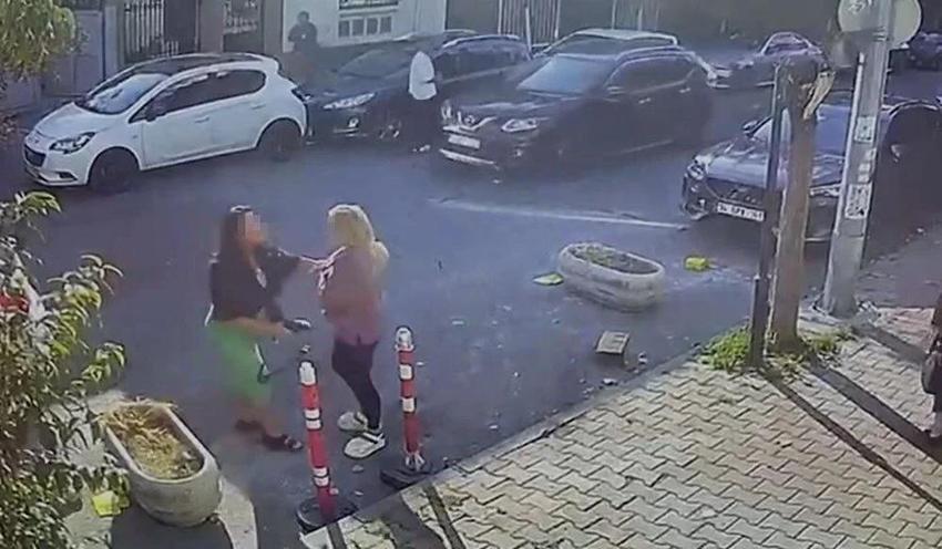 Kedisinin tıraşını beğenmeyen kadın, veterinere saldırdı: Seni hamile hamile dövdüm