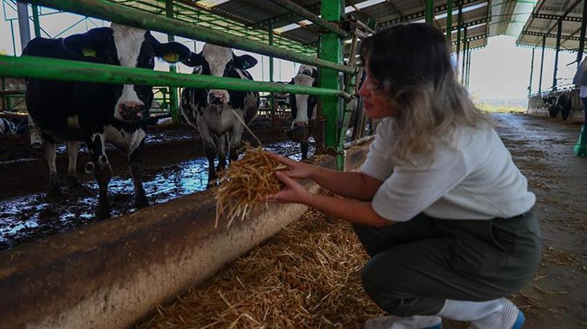 Uzman olarak çalıştığı işinden bir kalemde istifa etti, kendi markasını kurdu! Türkiye'nin dört bir yanına satış yapıyor