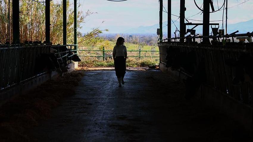 Uzman olarak çalıştığı işinden bir kalemde istifa etti, kendi markasını kurdu! Türkiye'nin dört bir yanına satış yapıyor