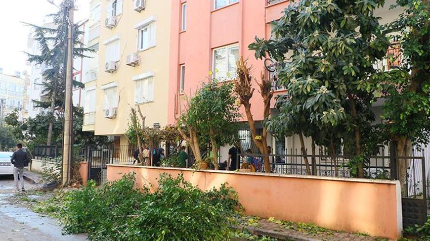 Bir mahalleli ondan şikayetçi! Tüm mahallenin elektriğini kesti, elektronik cihazlarını yaktı, hepsi dava açacak 