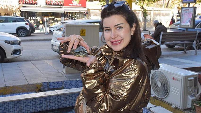 İzmir'de 'kaplumbağalı fotoğrafçı' vatandaşın ilgisini çekiyor! Her yıl yaklaşık 500 kaplumbağa buradan geçiyor
