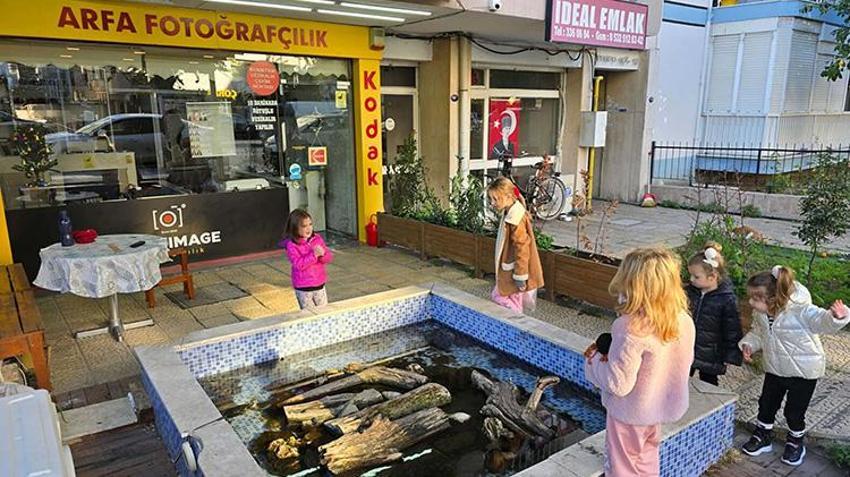İzmir'de 'kaplumbağalı fotoğrafçı' vatandaşın ilgisini çekiyor! Her yıl yaklaşık 500 kaplumbağa buradan geçiyor