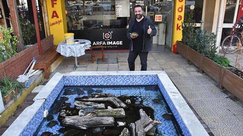 İzmir'de 'kaplumbağalı fotoğrafçı' vatandaşın ilgisini çekiyor! Her yıl yaklaşık 500 kaplumbağa buradan geçiyor
