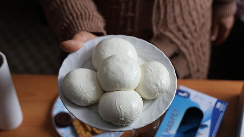 İtalya'nın Mozzarella peyniri Sivas'ta yapılacak! Bakanlık köylü kadınlara peynircilik eğitimi veriyor