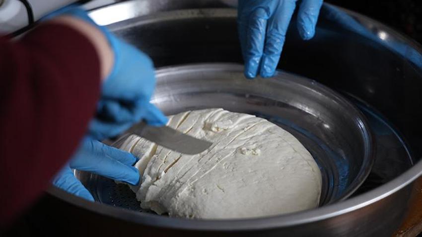İtalya'nın Mozzarella peyniri Sivas'ta yapılacak! Bakanlık köylü kadınlara peynircilik eğitimi veriyor