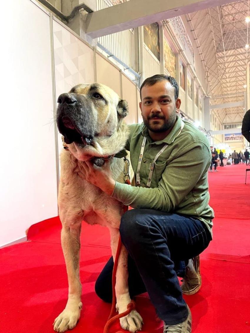 Şanlıurfa'nın simgesi olmaya aday: Çobanların vazgeçilmezi Guregh köpekleri uluslararası arenada