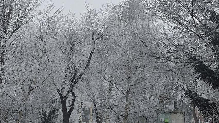 Termometreler eksi 26'yı gösterdi! Bir kent resmen buz tuttu 