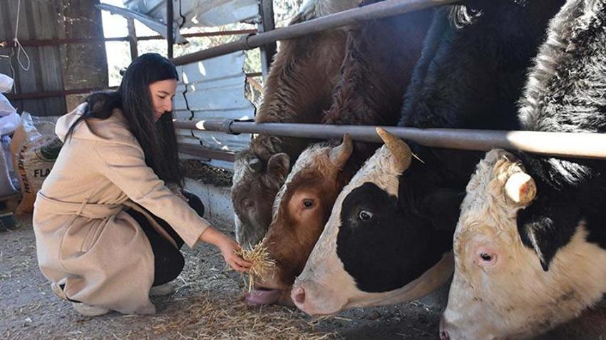 İzmir'de yüksek lisans mezunu kız kardeşler devlet desteğiyle hayvancılık yapmaya başladı! 13 inekle başladıkları işte şimdi 40 inek besliyorlar