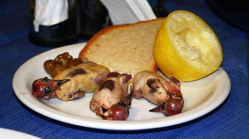 Nesli tükenme tehlikesinde kuşlar restoranda meze yapılıyor! Koruma altında olan kuşların popülasyonunda dikkat çeken düşüş