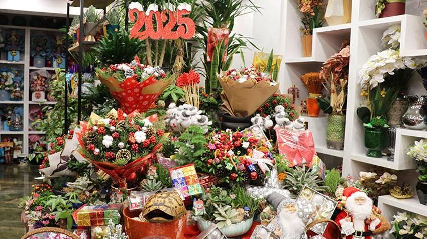 Yılbaşı çiçeği Kokina'ya yoğun talep! Şans, bereket ve huzur getireceğine inanılıyor