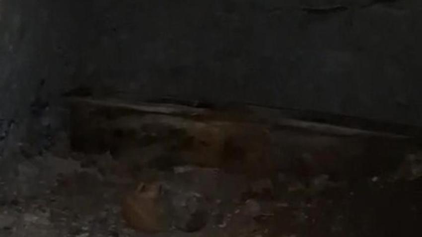 Hatay'da ortaya çıkarılan mezar odaları görüntülendi