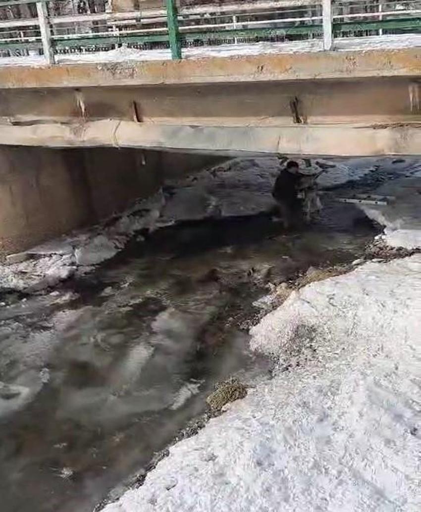 Dondurucu soğukların görüldüğü Bayburt'ta köpek kurtarma operasyonu! Buz tutan nehre girdi