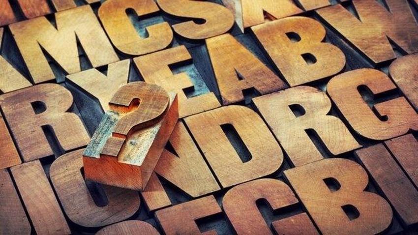 TDK anket başlattı: 2024 yılını anlatan kelime hangisi? Yılın kelimesine 7 aday var