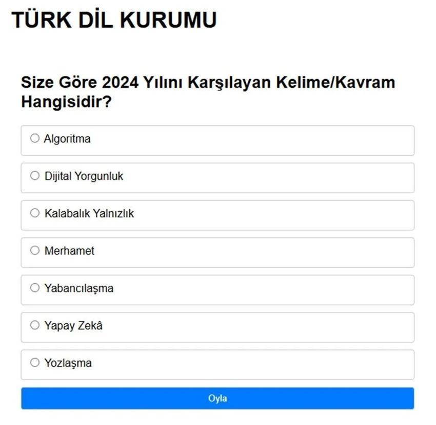 TDK anket başlattı: 2024 yılını anlatan kelime hangisi? Yılın kelimesine 7 aday var