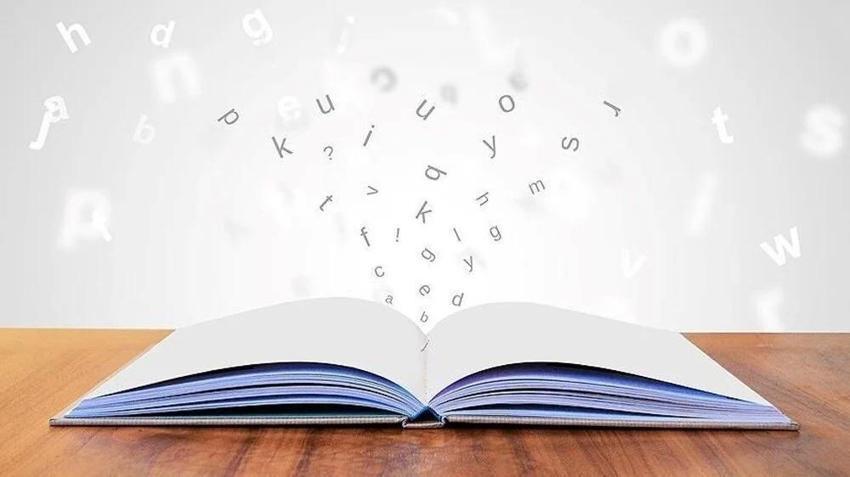 TDK anket başlattı: 2024 yılını anlatan kelime hangisi? Yılın kelimesine 7 aday var