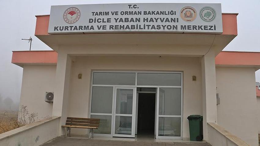 Diyarbakır'da Yabani Hayvan Merkezi binlerce yabani hayvana yeni bir hayat verdi