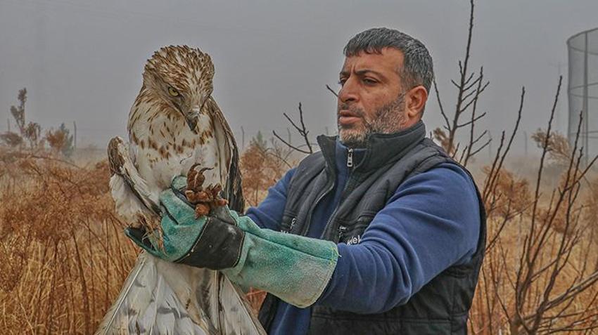 Diyarbakır'da Yabani Hayvan Merkezi binlerce yabani hayvana yeni bir hayat verdi